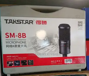 Studio Microphone