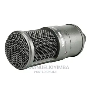 Studio Microphone