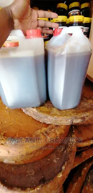 Pure Organic Raw Honey - 5 Litres