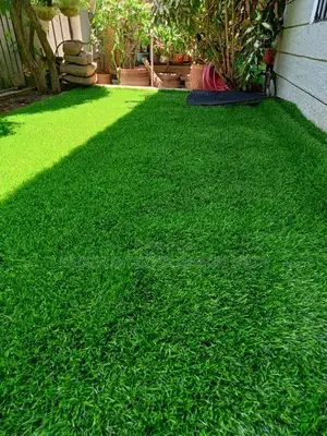 Grass Carpet Grass Carpet Grass Carpet