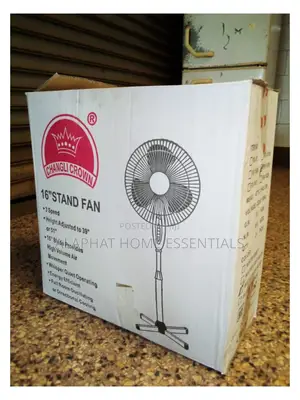 Fan