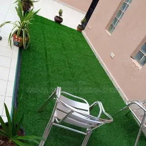 Artificial Turf Grass Carpter