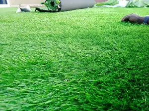 Artificial Turf Grass Carpter