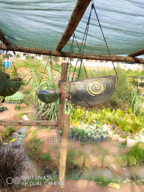 Spectacular Concrete Planters,Compound Interior Designing.