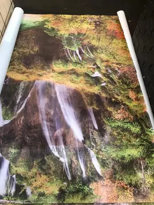 Murals 3D Wall Papers