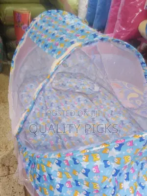 Baby Crib and Mosquito Net