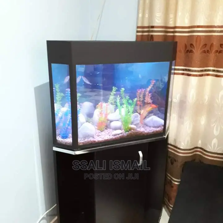 A Beautiful Black Aquarium
