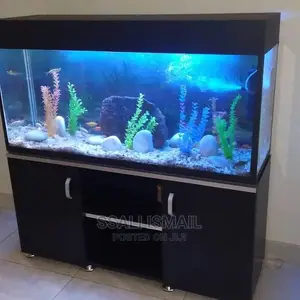 A 4ft Beautiful and Properly Set Aquarium