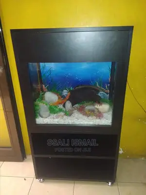 Cute Aquarium With Attractive Black Colour