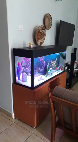 The Attractive Aquarium With Nice Interiors