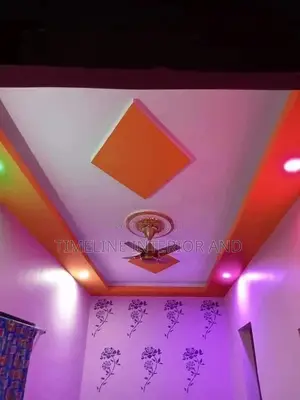 Gypsum Ceilings 201