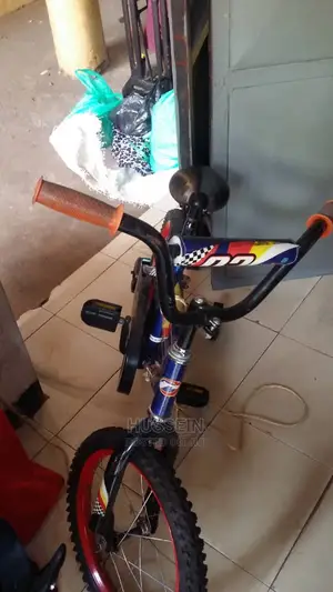 Kids Bicycle (Spots Bike)