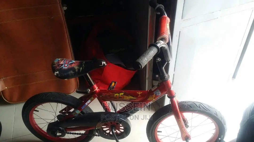 Kids Bicycle (Spots Bike)