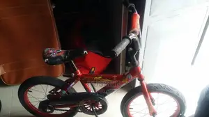 Kids Bicycle (Spots Bike)