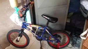 Kids Bicycle (Spots Bike)
