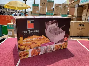Hoffman Electric Deep Fryer
