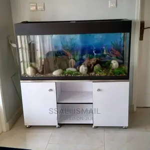 Perfect Aquarium With a White Durable Stand