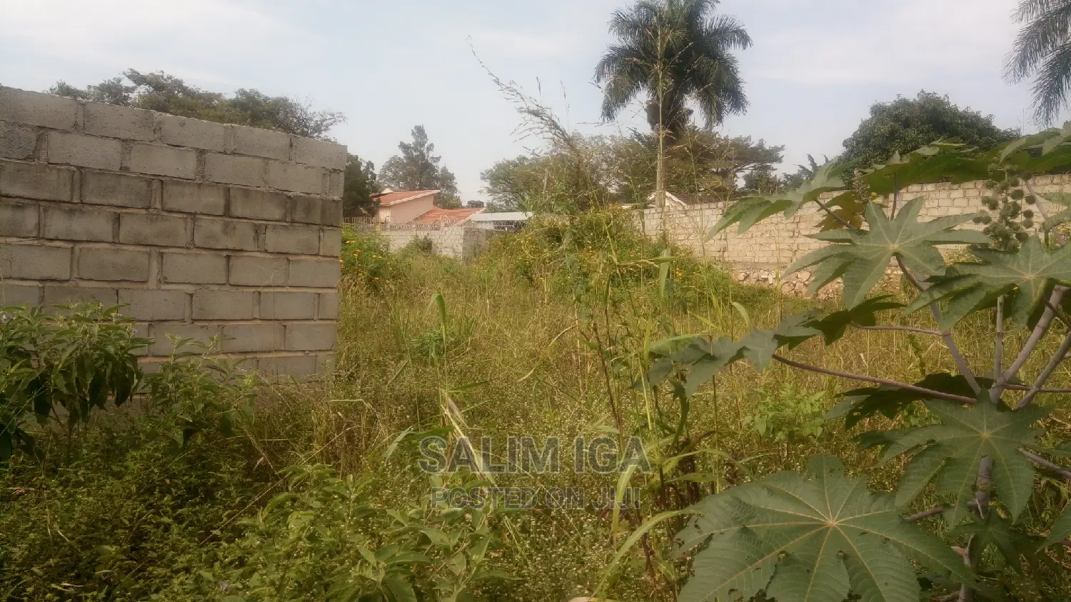 Plot on Market