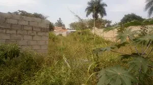 Plot on Market