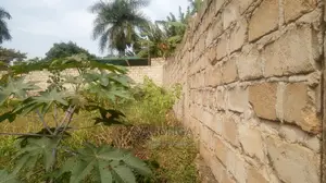 Plot on Market