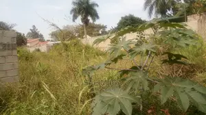 Plot on Market