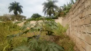 Plot on Market