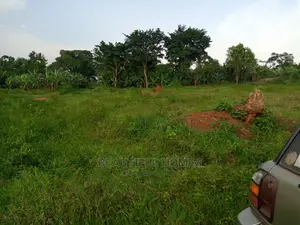 Gayaza Two Plots on Market