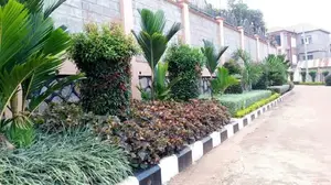 Talented Compound Designers/Gardrners.Flowers/Plants/Grass.