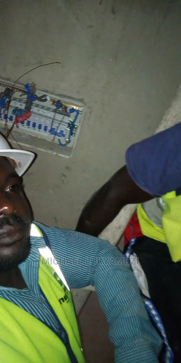 Professional Electricians