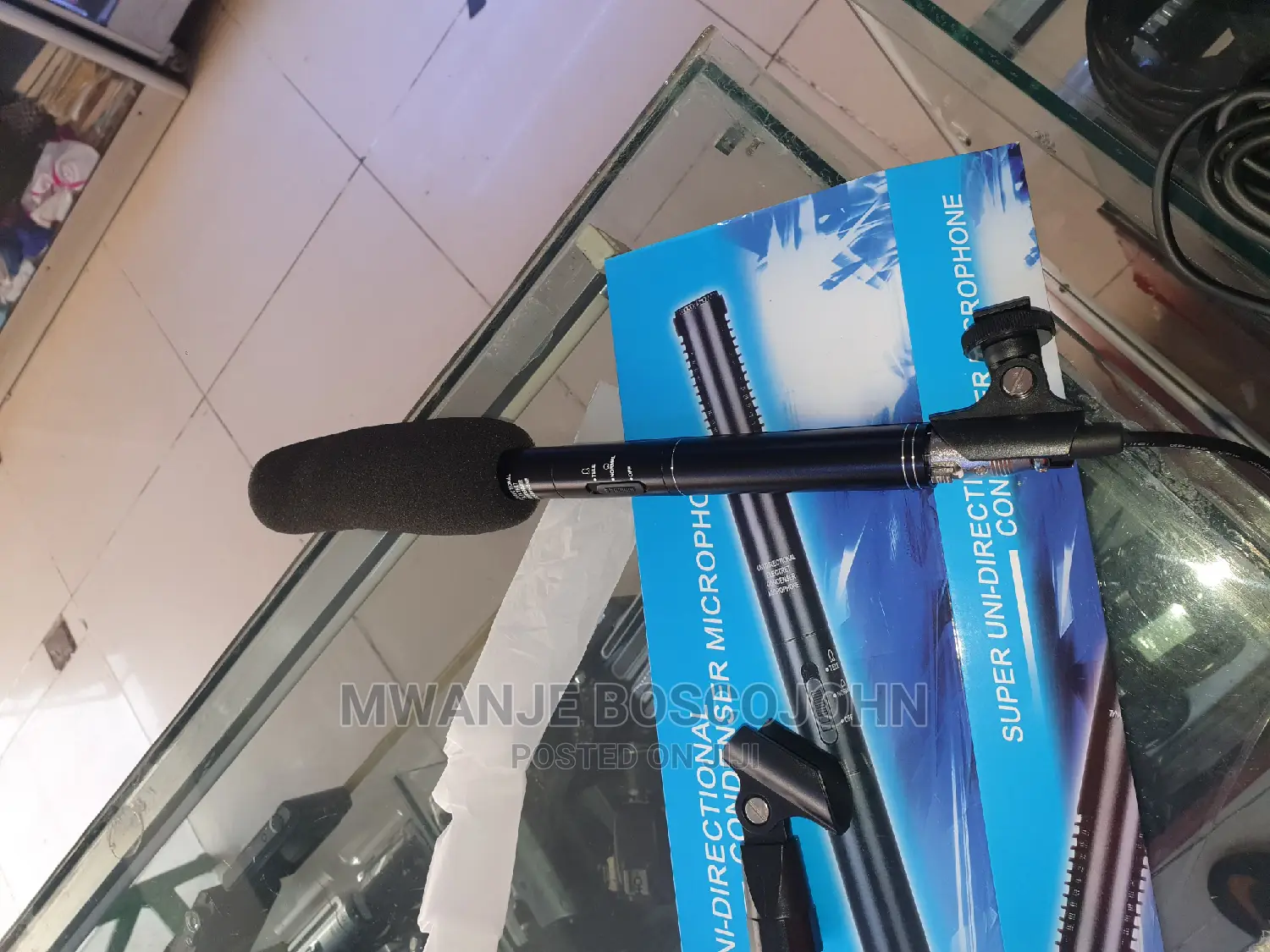 Panasonic Interview Microphone
