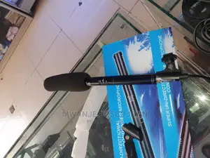 Panasonic Interview Microphone
