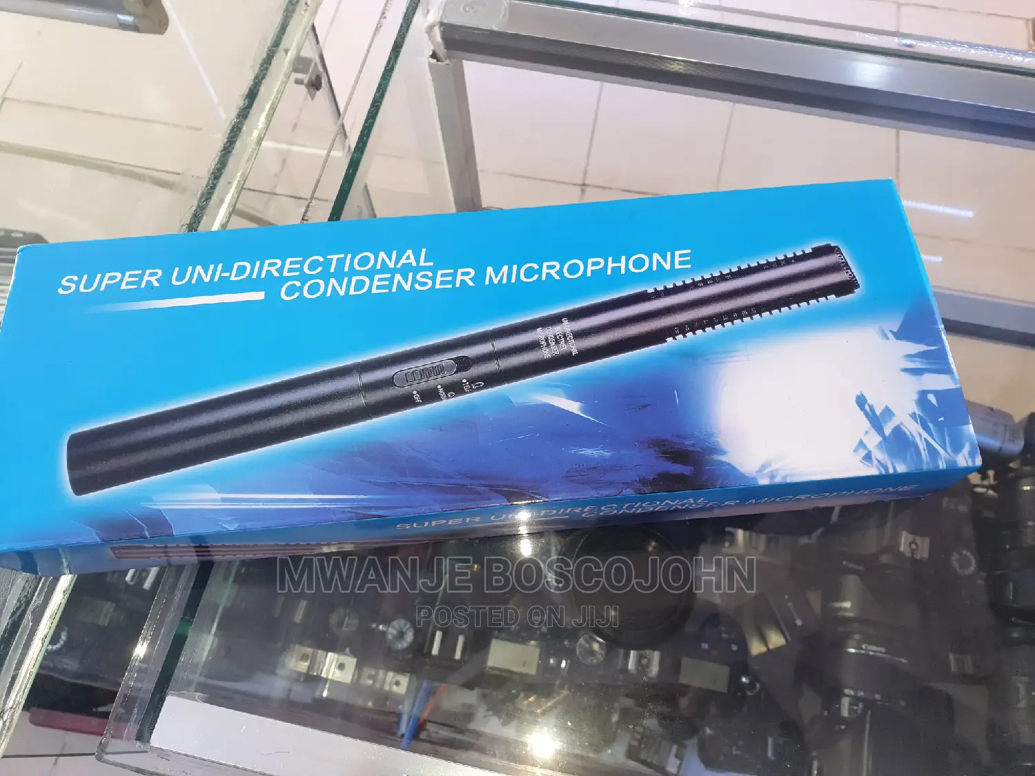Panasonic Interview Microphone