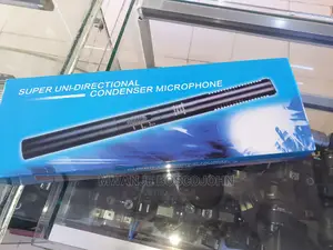 Panasonic Interview Microphone