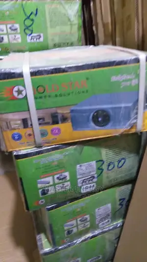 300w UPS Pure Sine Wave/ Battery Charging Inverter