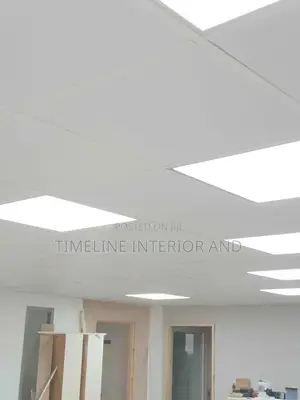 Suspended Ceiling Tiles and Installations 20
