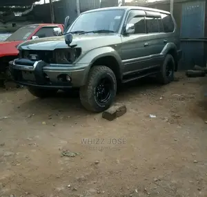 Automotive Spray Paint
