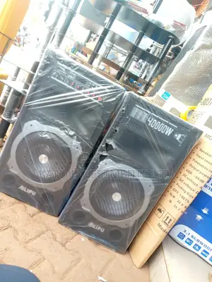Professional Sound Speaker System