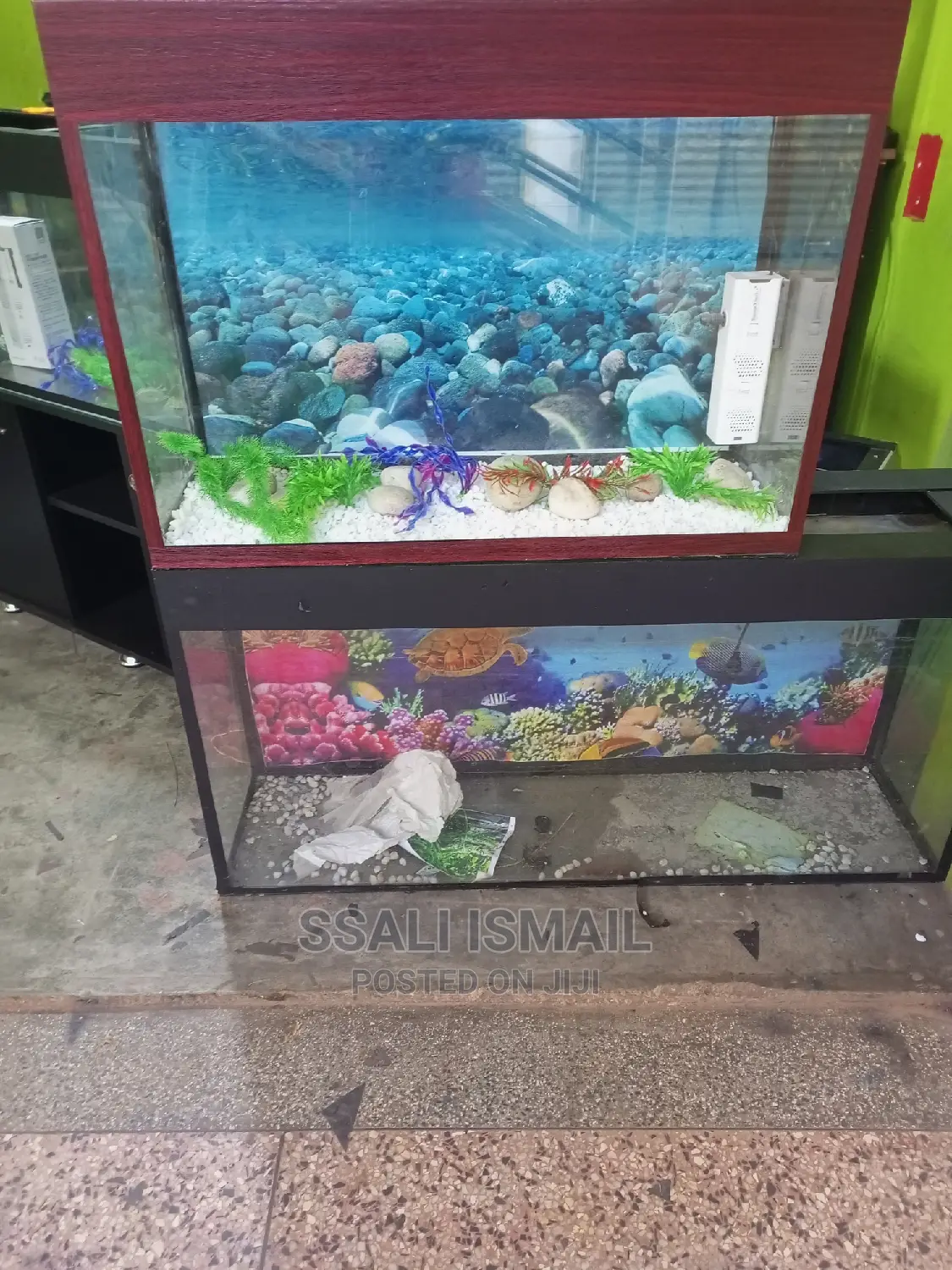 Quarium With All Accessories
