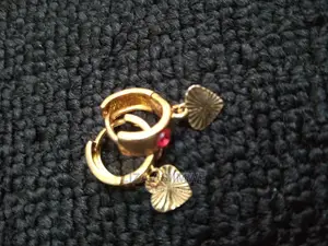 Stainless Steel Earrings
