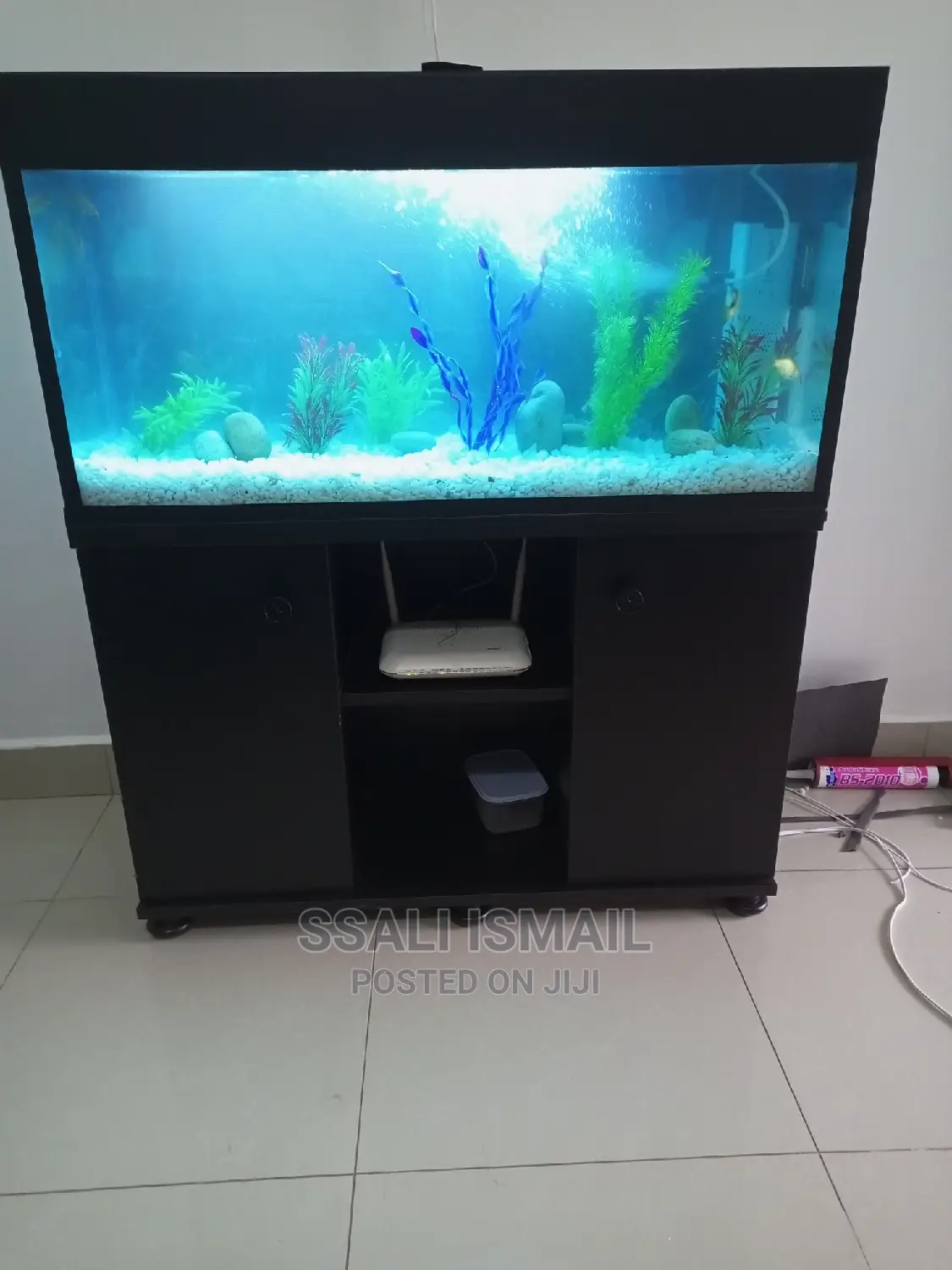 An Aquarium Made by Professionals