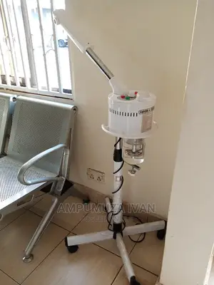 Facial Steamer