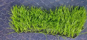 Artificial Tuff Grass