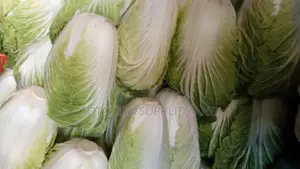 Fresh Chinese Cabbage