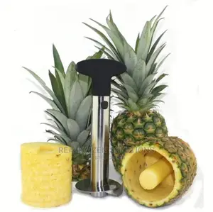 Stainless Steel Pineapple Corer Slicer