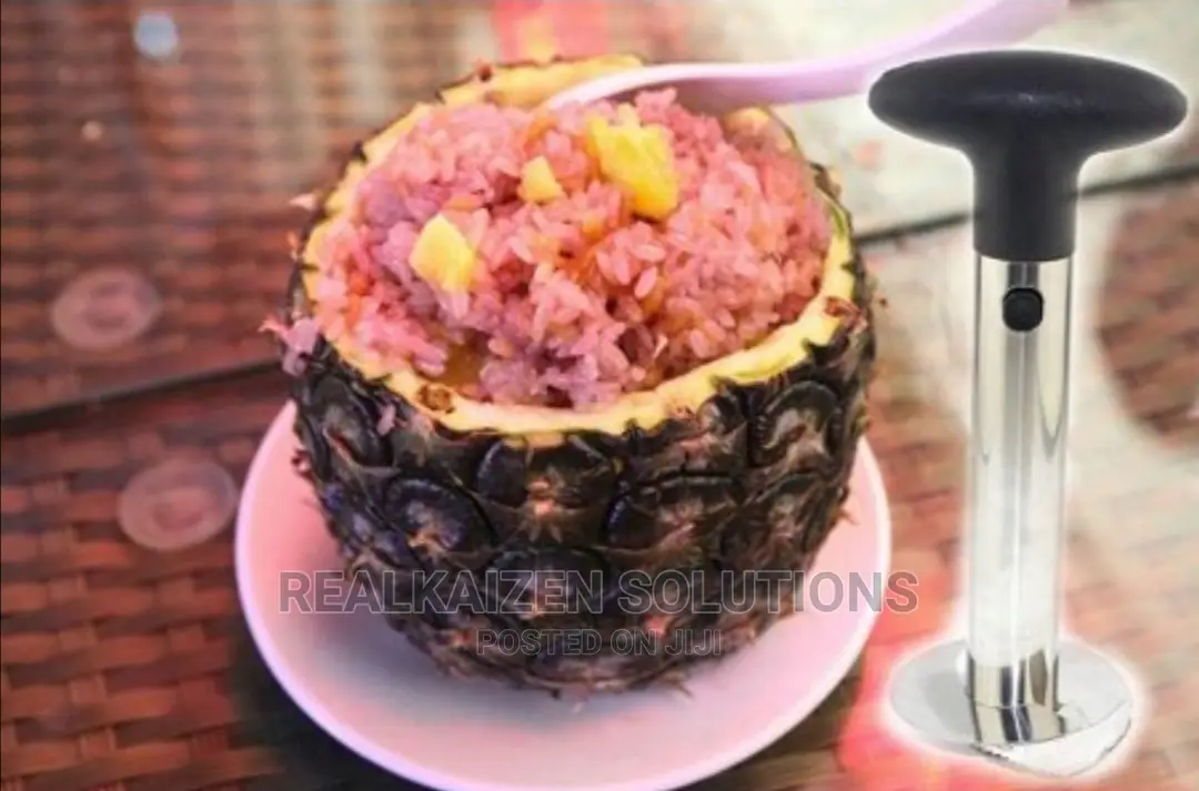 Stainless Steel Pineapple Corer Slicer