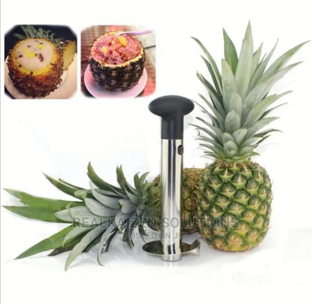 Stainless Steel Pineapple Corer Slicer