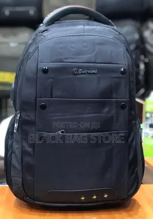 Laptop/School Bag