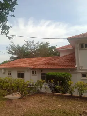 Reliable Roof Cleaners,Effective Roof Cleaning Services.