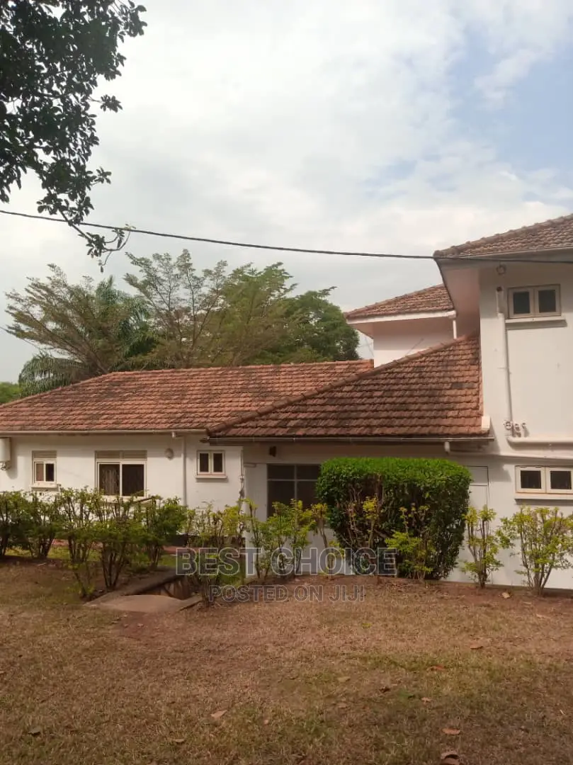 Reliable Roof Cleaners,Effective Roof Cleaning Services.