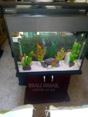 Beautiful and Smaller Size